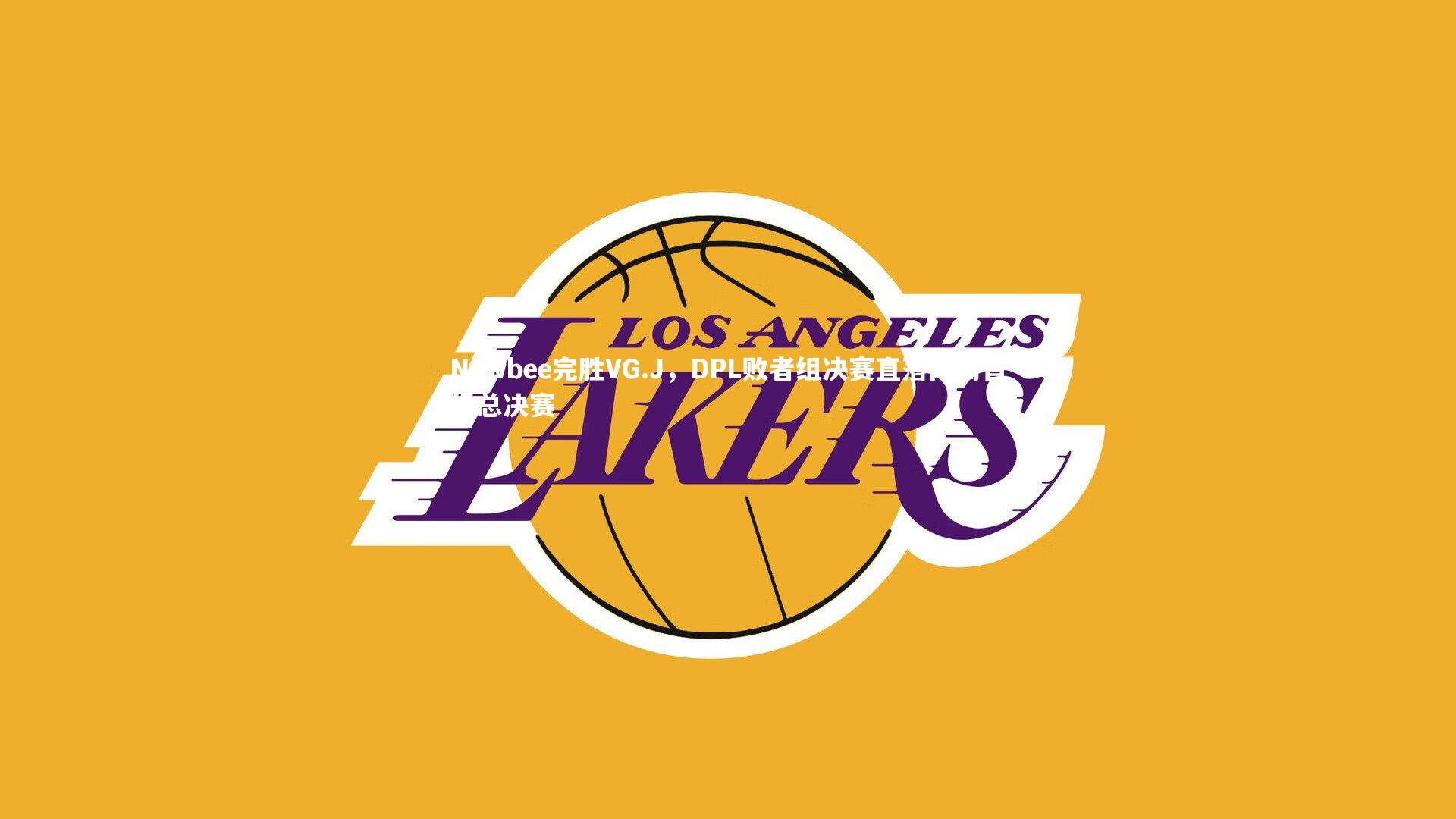 Newbee完胜VG.J,DPL败者组决赛直落两局晋级总决赛